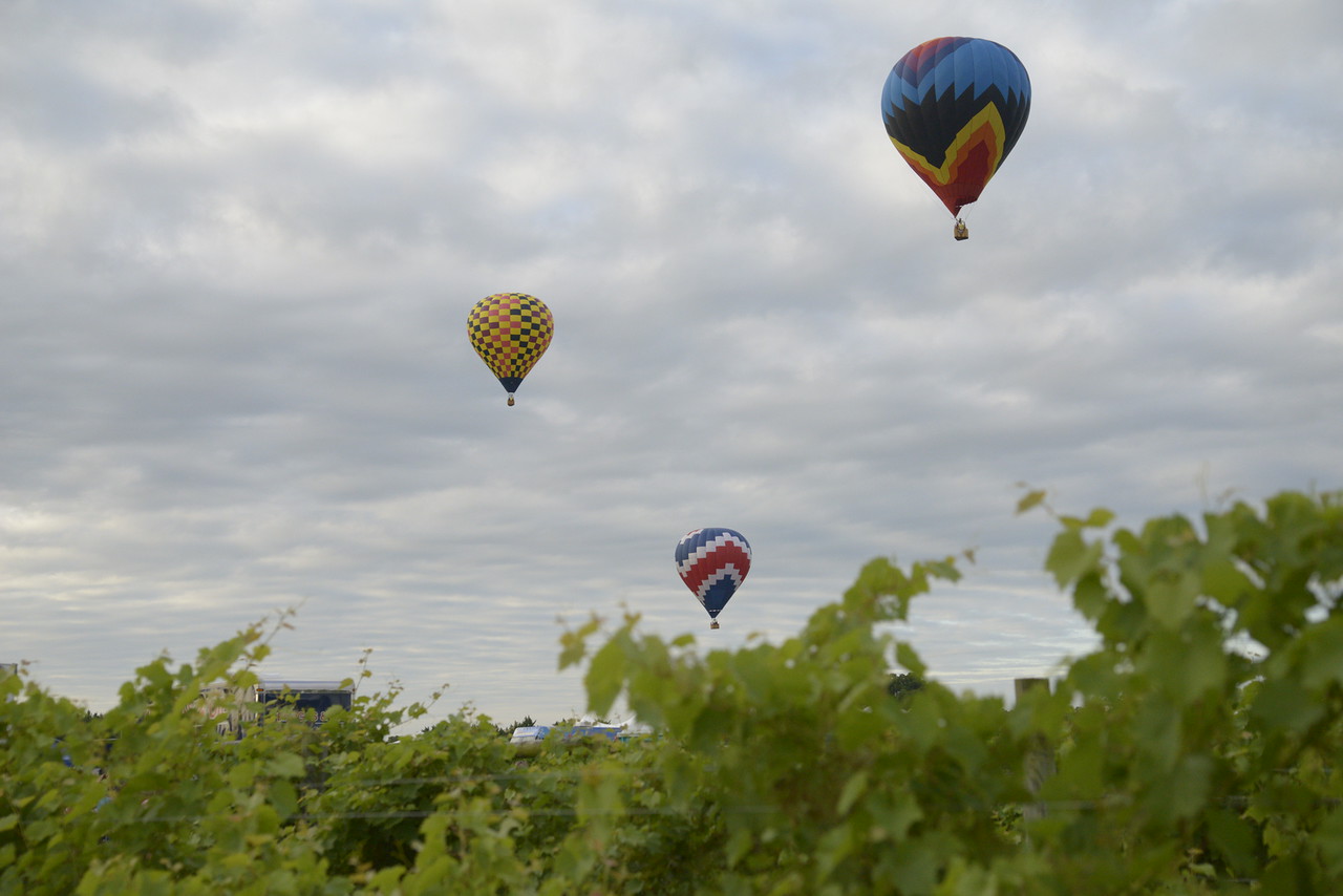 Chesapeake Balloon Festival, Aug. 2016 Credit: Curt Brandt